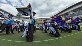 37 香川大学よさこい連風華 こいや祭り2024［４Ｋ］wide もりのみやキューズモール会場