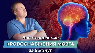 Как улучшить кровообращение головного мозга? Упражнения для улучшения кровообращения головного мозга