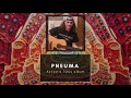 Tool - Pneuma Cover (Acoustic TOOL Album)