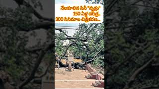 ఇక్కడే ఎన్నో సినిమా షూటింగ్స్...నేలకూలిన 150 భారీ వృక్షం..