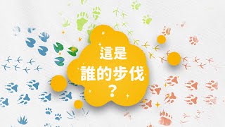 【小小創意家】這是誰的步伐？聽聽不同打擊樂器的音色，猜猜究竟是什麼動物的腳步聲｜朱宗慶打擊樂教學系統