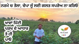 ਨਰਮੇ ਤੇ ਗਲਤ ਸਪਰੇ ਨਾ ਕਰੋ, ਝਾੜ ਘਟੇਗਾ #cotton crop management