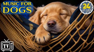 24 Hours of Calming Music for Dogs with Anxiety: Soothing Lullabies for Anxious