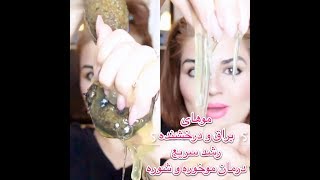 چطور رشد موها رو چند برابر کنیم؟﴿درمان موخوره/شوره/شکنندگی مو﴾flaxseed