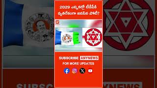 2029 ఎన్నికల్లో టీడీపీకి వ్యతిరేకంగా జనసేన పోటీ? || AnyNews #janasenaparty #tdp #pawankalyan #cbn