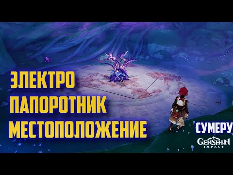 ЭЛЕКТРО ПАПОРОТНИК ГДЕ НАЙТИ , КАК ПРОЙТИ / СУМЕРУ GENSHIN IMPACT 3.0