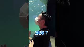 二度と彼氏と水族館に行かないと決めました#カップル#shorts