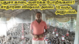 புதிதாக காடை வளர்க்க போறீங்களா? இந்த வீடியோ பாருங்க.