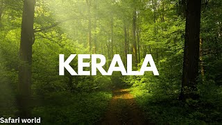 KERALA | India | 4k view | episode 4 |