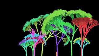 Recursive Tree Drawing