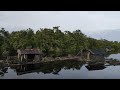 BERMALAM DI DANAU RAWA APUNG DAN SERBUAN KAWANAN PATIL JUMBO DI KAWASAN AIR KERUH MASUK...