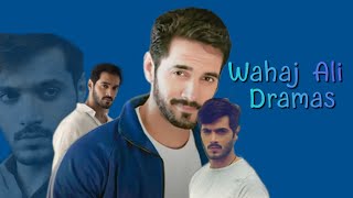 Wahaj Ali: Complete List of Dramas • 22 Qadam, Mein •