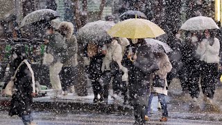 대설주의보 발령에 서울시 비상근무 체제 / 연합뉴스TV (YonhapnewsTV)