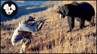 衝撃的なアメリカクロクマ狩りの瞬間 – アメリカで最も激しい狩り | 侵入種 #クマ