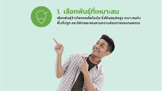 สูตรสำเร็จ 5 ขั้นนตอนง่ายๆ ได้ผลผลิตดี จาก เมล็ดพันธุ์ข้าวโพดไพโอเนีย®