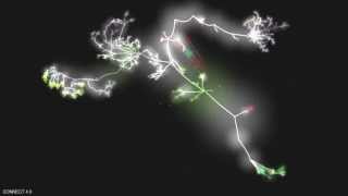 CONNECT 4.0 git log visualization