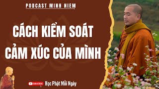 Cách KIỂM SOÁT CẢM XÚC CỦA MÌNH (Bài Giảng Rất Sâu Sắc) | Thầy Minh Niệm