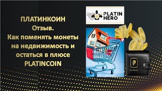 ПЛАТИНКОИН Отзыв  Как поменять монеты на недвижимость и остаться в плюсе  PLATINCOIN