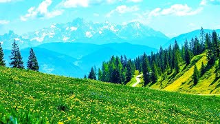 Relaxing Morning Music - Piano Music Background For Study, Yoga, Meditation (Honley)