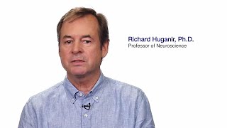 #TomorrowsDiscoveries: The Science Behind Memory Formation—Dr. Richard Huganir