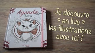 (COLO) AGENDA DISNEY 2020 : Je découvre avec toi les illustrations ! 🖍Les Passions de Jess