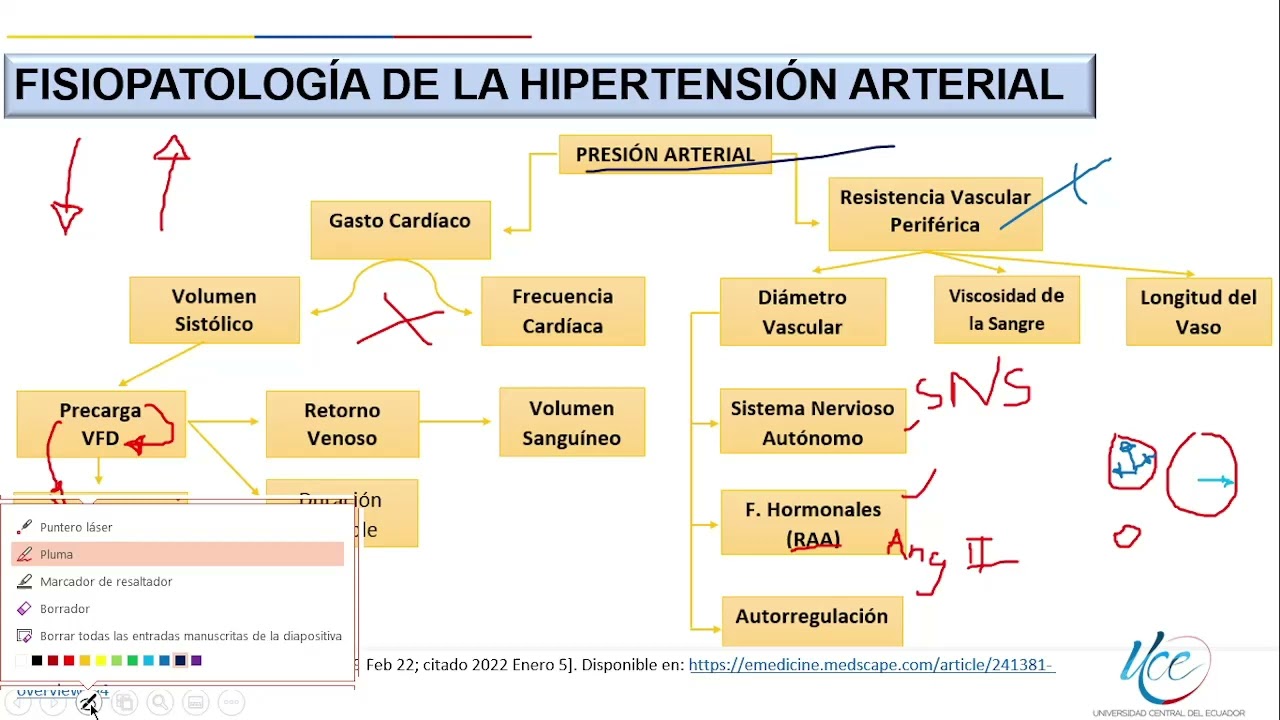 Fisiopatología De La Hipertensión Arterial - YouTube