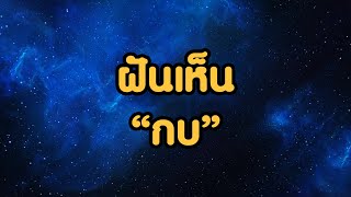 ทำนายฝัน l ฝันเห็นกบ จับกบ l ความหมายและเลขนำโชค ใครฝันต้องดู!