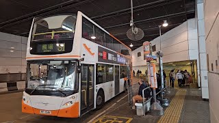 Hong Kong Bus LWB 8420 @ S1 龍運巴士 Alexander Dennis Enviro500 東涌站 - 機場(客運大樓) (循環線)