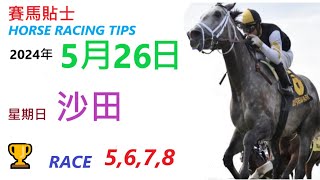 HKJC「賽馬貼士」🐴 2024  年 5  月 26  日 沙田 🐴 香港賽馬貼士 HONG KONG HORSE RACING TIPS 🐴 RACE  5  6  7  8