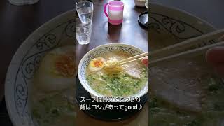 ラーメンねぎ屋食べてきたよ！　#豚骨ラーメン　#short