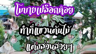 โมบายเปลือกหอย เอามาทำที่แขวนต้นไม้#diy#แต่งสวน #ไม้ประดับ #เปลือกหอย# โมบาย