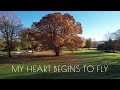 SONG /MY HEART BEGINS TO FLY /LYRICS BY SKC