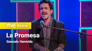 Gonzalo Hermida - “La Promesa” (Plan de Tarde)