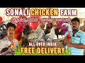 அதிக முட்டையிடும் சொனாலி கோழி|Sonali Chicken farm in Tamil | VGB poultry farm#chicken#poultry#sonali