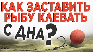 РЫБА НЕ КЛЮЁТ со дна:  что делать? Ликбез от чемпиона мира по карпфишингу