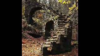 World History-Abandoned stairway in the woods: Madame Sherri Forest, Chesterfield. #shorts