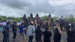 พ่อเสก,ศิริมงคล,น้องสุพรรษา ร่วมส่งนางฟ้าขึ้นสวรรค์