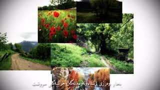 پاراستنی ژینگە flv