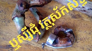 ឬស្សីជុំក្រឡង់ មហាស័ក្កសិទ្ធិ