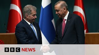 Turkey approves Finland Nato membership bid - BBC News
