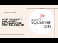 How To Export and Import database Sql Server