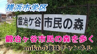 鍛冶ヶ谷市民の森を歩く