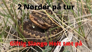 NaturNørd 301. På jagt efter et mega sjældent dyr!!! Lykkedes det mon??