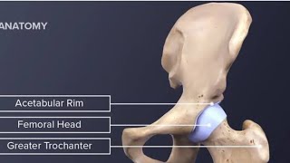 Functional mobilisation - Mulligan Concept