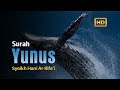 Murottal Surah Yunus [ Full translate ] Reciter Syeikh Hani Ar-Rifa'i