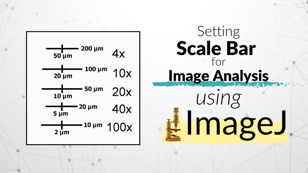 How To Set Scale Bar Using Imagej Software Microscope Imaging