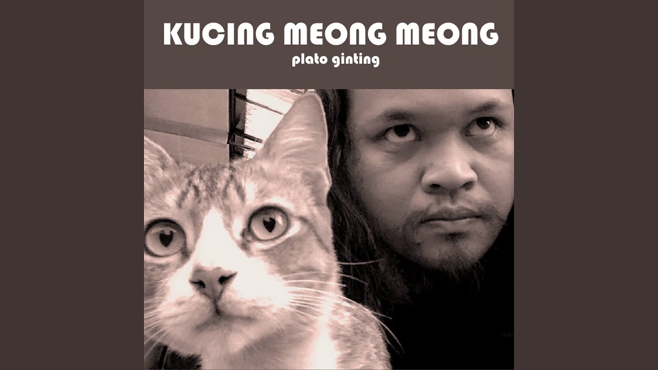Kucing Meong Meong Youtube Music