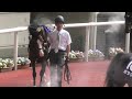 首の上げ下げが止まらないメロディーレーン、宝塚記念のパドック。現地映像、阪神競馬場。２０２２年６月２６日