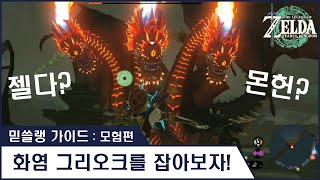 [ 믿쓸랭 가이드 : 모험편 ] 2. 화염 그리오크를 잡아보자! - 젤다인가? 몬헌인가?