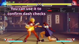 SFV Sakura DEFINITIVE COMBO UPDATE 2022